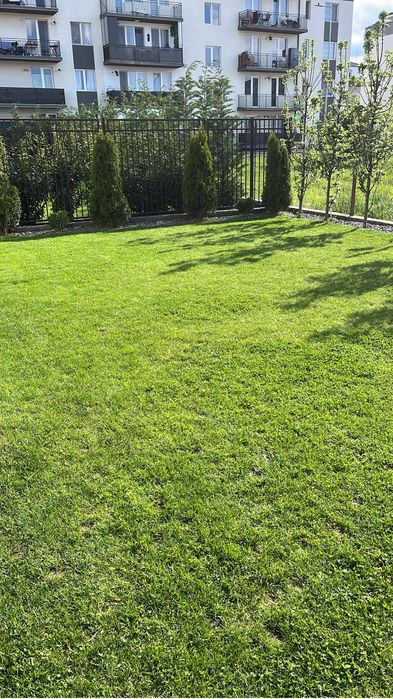 Ofer spre inchiriere Duplex in zona Terra , Floresti
