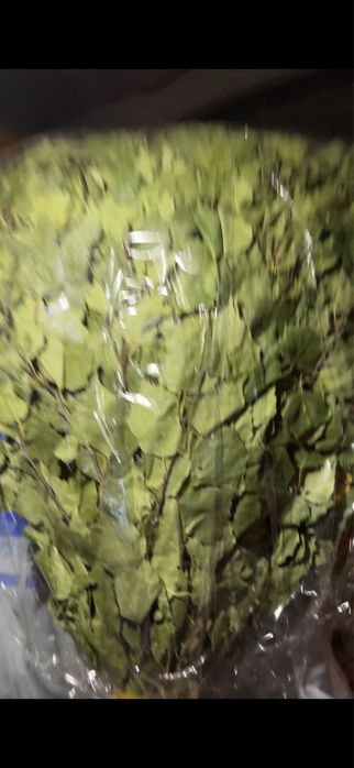 Веники береза и дуб