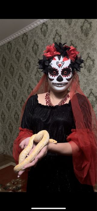 Шоу программа «Нащупай» со змеей