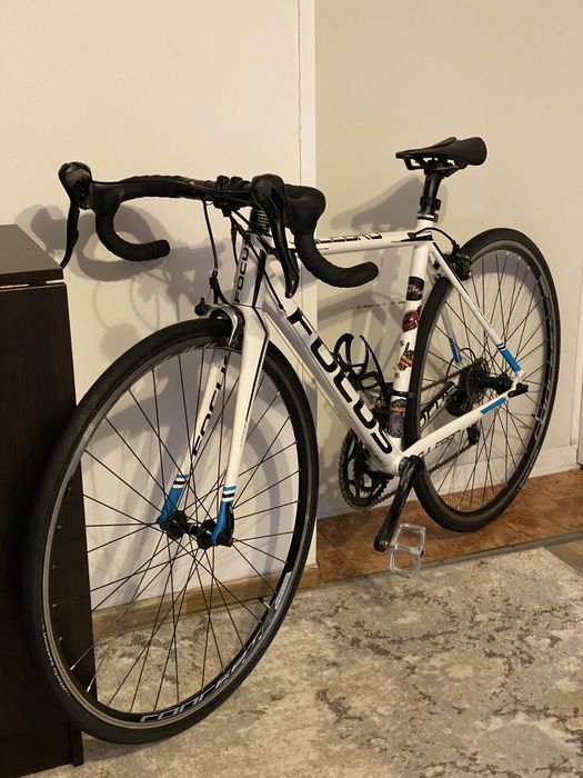 Cursieră Focus culebro 2015