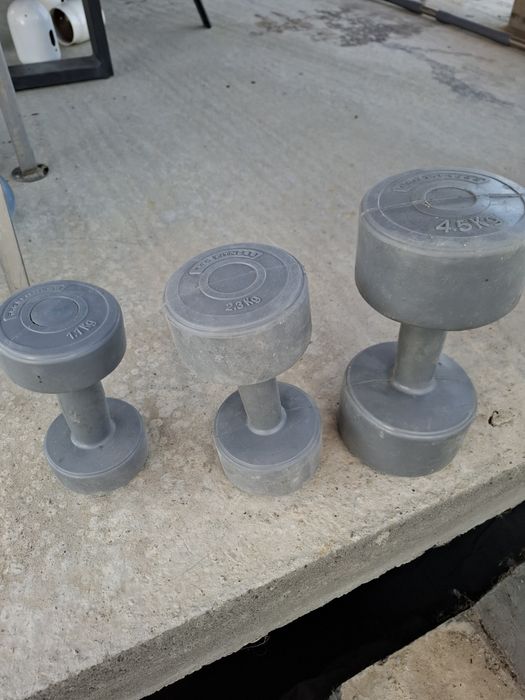 Set gantere fitness