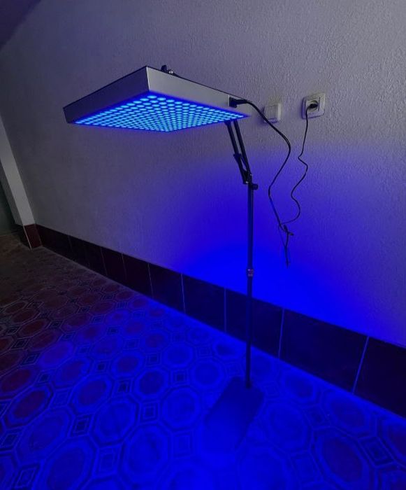 фотолампа фототерапия аренда