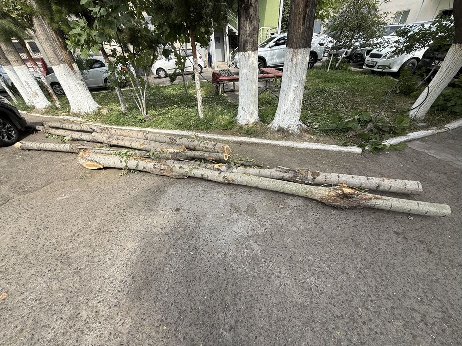 Тусин сотилади теракники