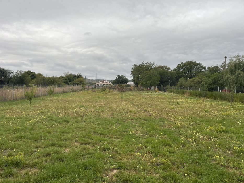 Teren intravilan pe Strada Principală Faraoanele | asfalt + utilități