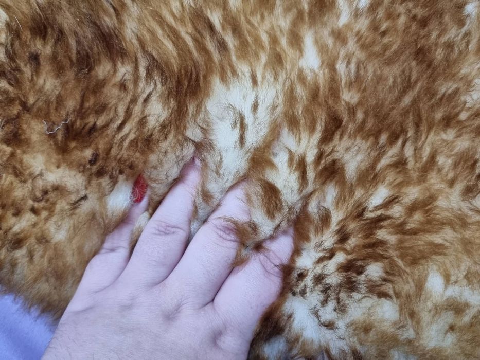 Естествена кожа 15лв