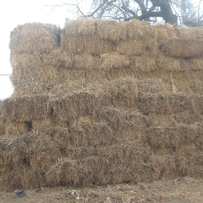 Beda press kelishilgan narxlarda