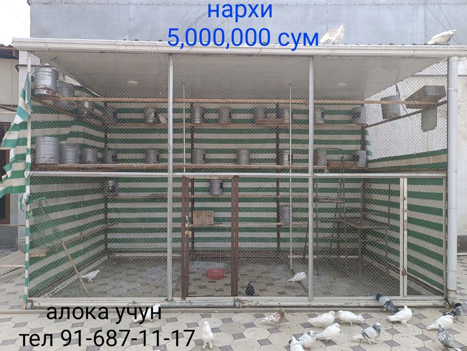 Кафас Кабутар ва парранда бокиш учун мулжалланган