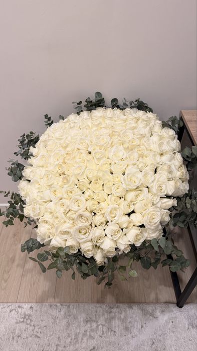 151 роза метровая