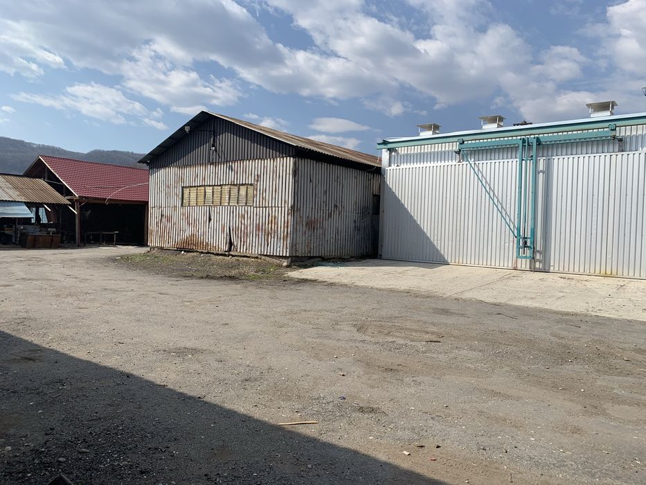 Inchiriez 8000 mp -hale si teren in comuna mihaesti jud arges DN73