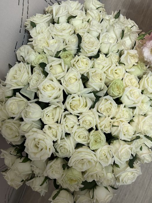 Продам свежие красивые 101розу