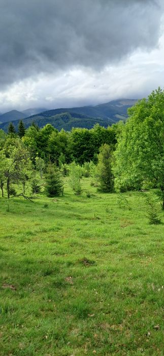Teren intravilan