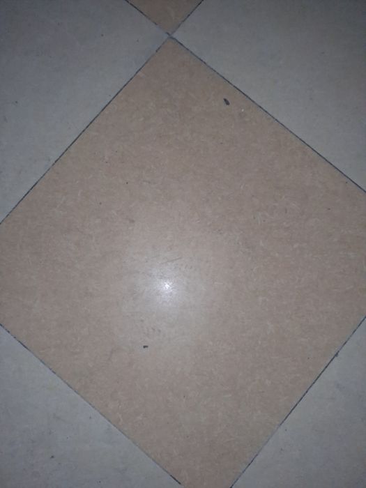 60×60 kafel sotladi