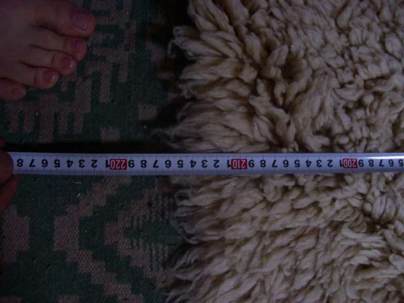 Родопски китеник