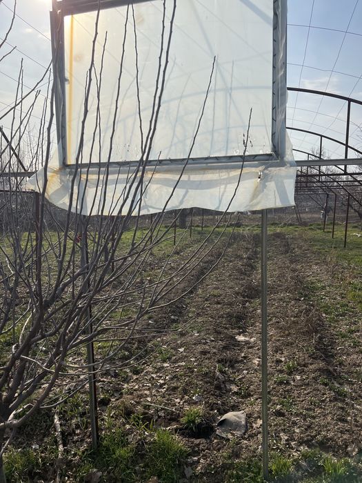 Parnik sotiladi truba materialdan qilingan