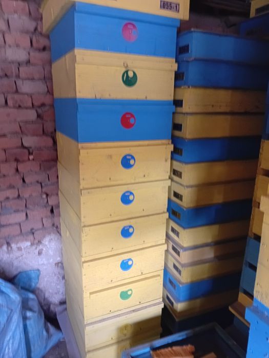 Многокорпусни кошери