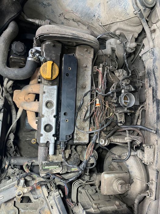 Автоэлектрик диагност