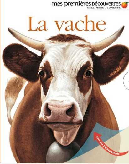 Cărți franceză & engleză pt. preșcolari și respectiv ciclu gimnazial