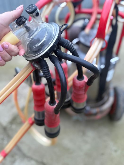 Mulgătoare de vânzare