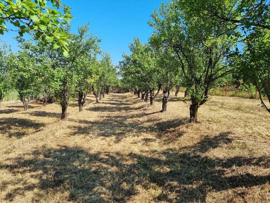 1600 mp teren in Barnova sat Pietrarie pe deal deasupra  Primariei.