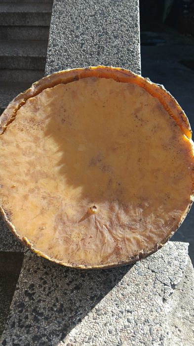 Продавам пчелен восък