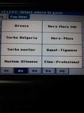 Set Korg Pa 300 - 2026