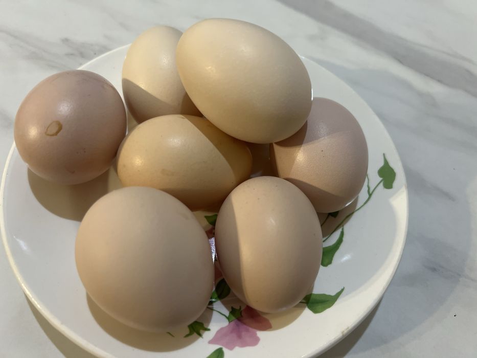 Домашние яица Зачаганск