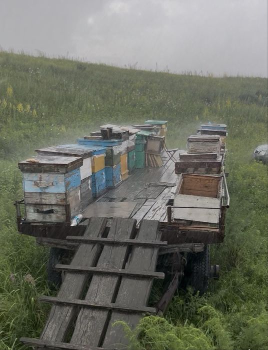 Пчелоплощадка(павильон)