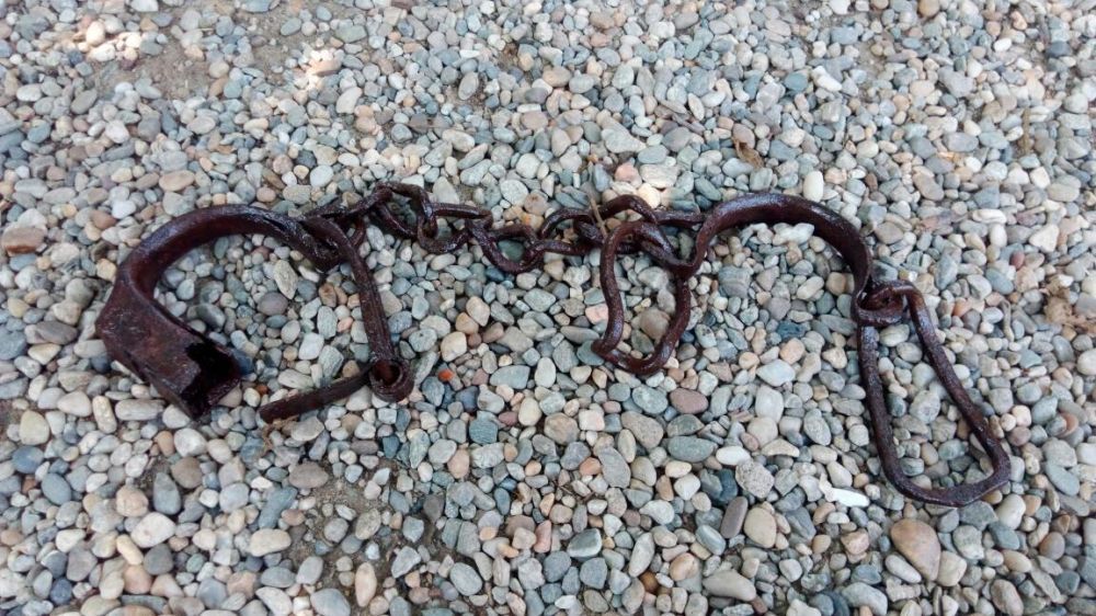 Catuse metalice picioare