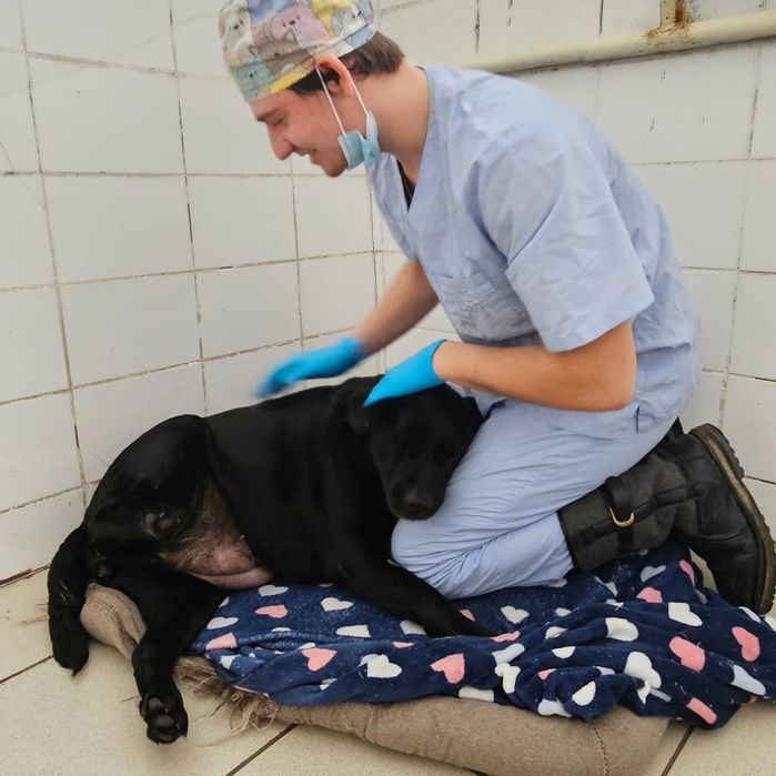 Ветеринарный Врач г.Семей