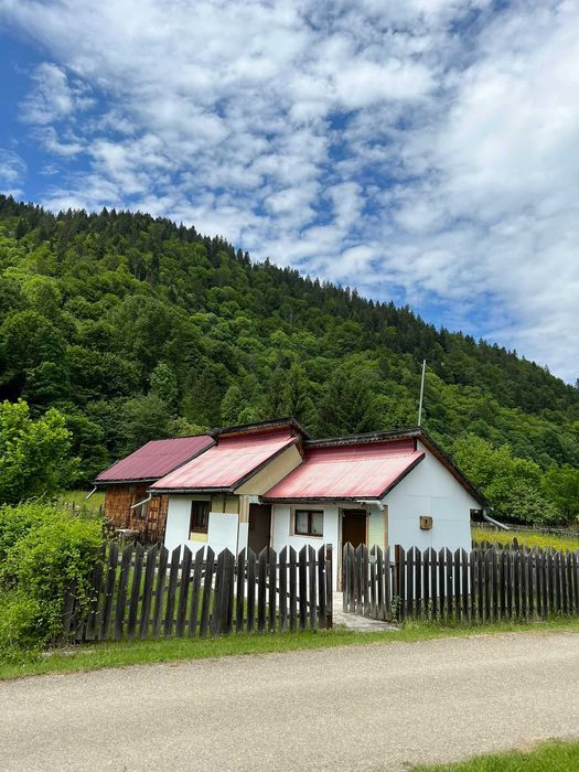Teren la munte 2000 mp, 12m deschidere, Tarcău Neamț, Poiana Soarelui – casă din lemn neterminată, curent și livadă, la marginea pădurii