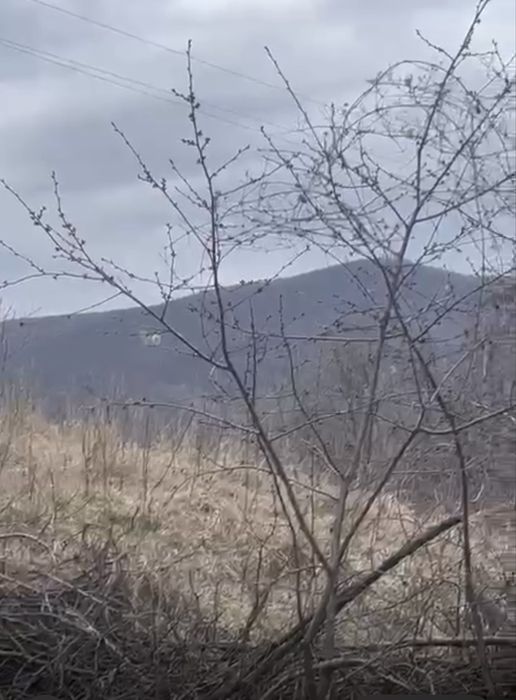 Teren 5000 mp, PIETRARU, BUZAU, cel mai ozonat loc din tara