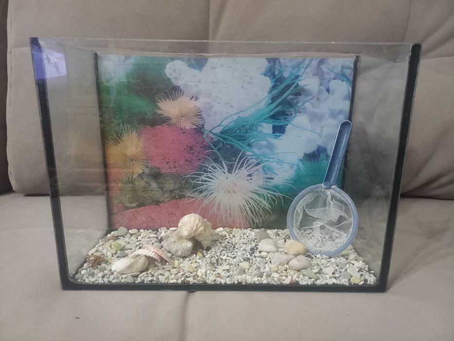 Продам  аквариум 10л