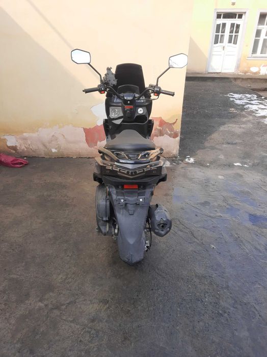 Tigr skuter Sotiladi