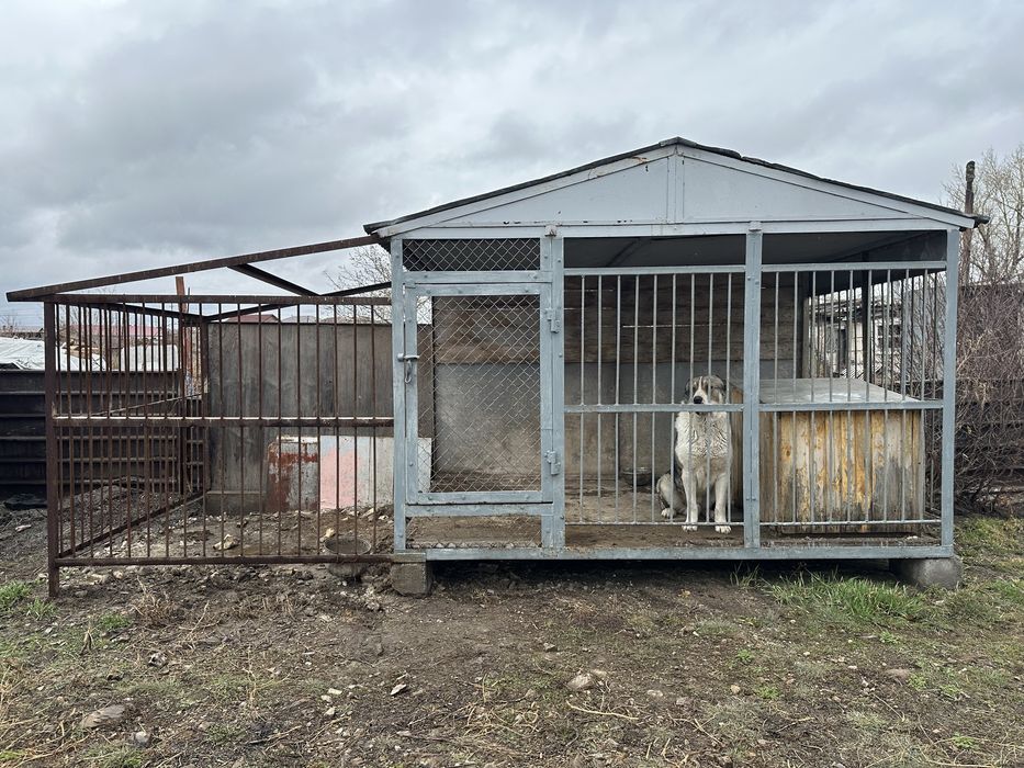 Продаю вольер в месте алабая