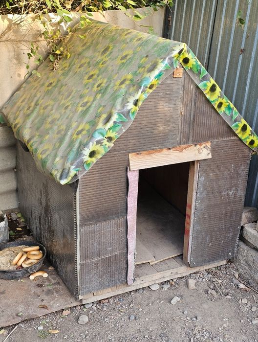 Собака дворняжка