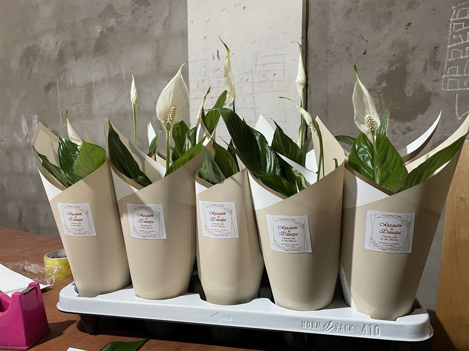 Тойбастар, комплимент для гостей