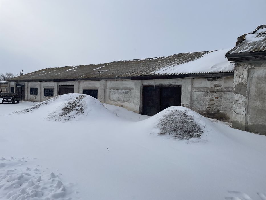 Продам базу в переметном