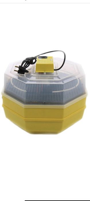 2 incubatoare Cleo 5