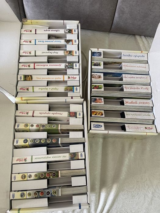 Мир на ладошке