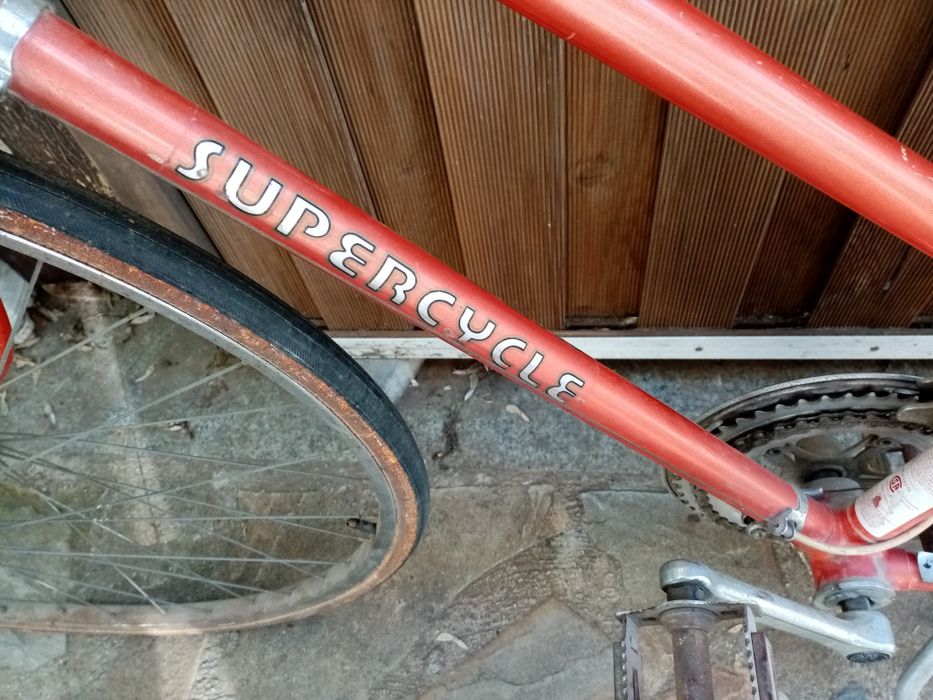 Bicicleta cursiera dama