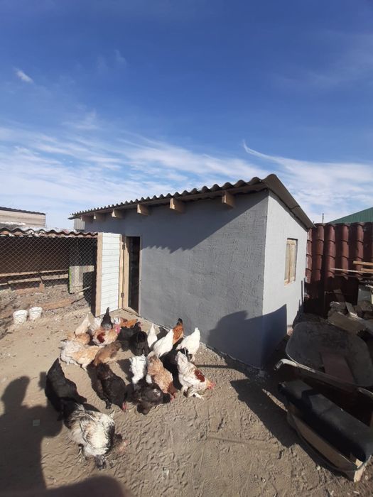 Продам частный дом 3комн мкр Водников 2