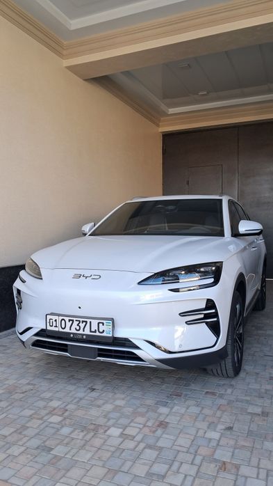 Byd champion 2025/25 fevral oq kraska top toza