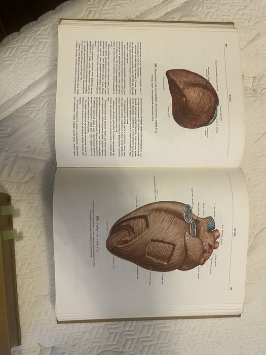 Атласи по Анатомия на Човека том 1, 2 и 3 Синелников