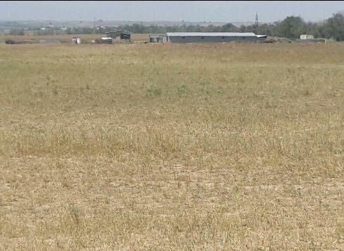 Продам землю 10 гектар