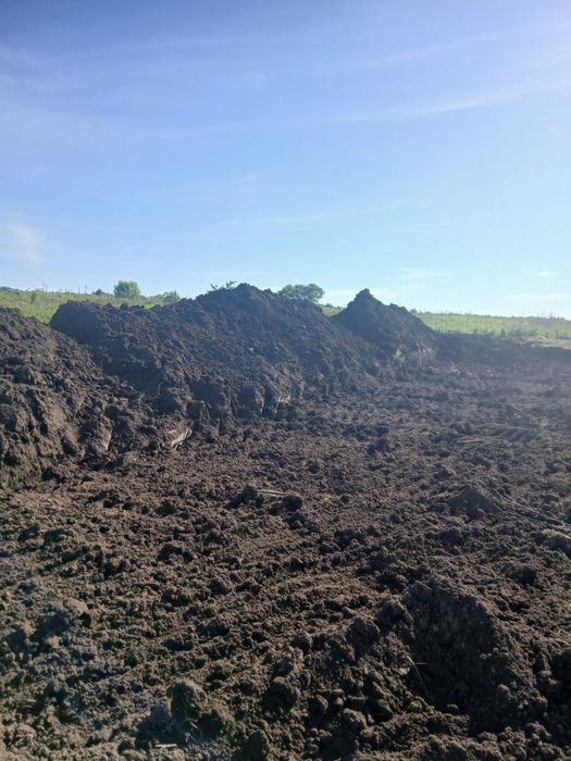 Pământ negru vegetal de livada!! Transport inclus !