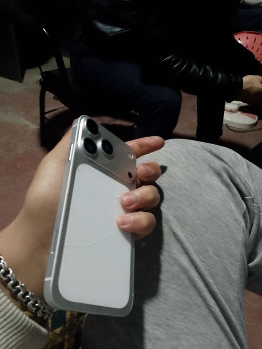 iPhone 11 Pro 17 Korpusda