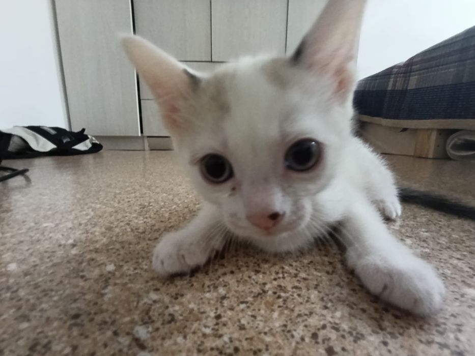 Девочка ищет свою семью