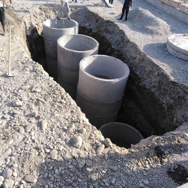 Kalodis dastafka qilamiz