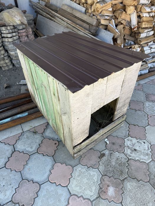 Отдам даром бутку для собаки
