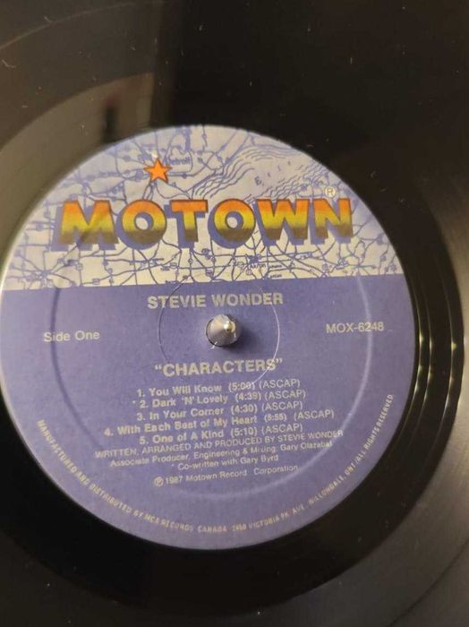 Виниловые пластинки.